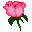 ʶ