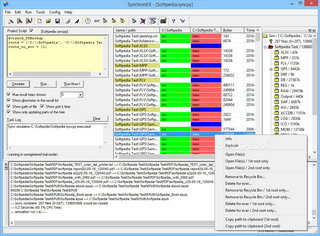 SynchronEX