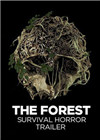 ɭ֣The Forest