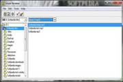 Simple Renamer
