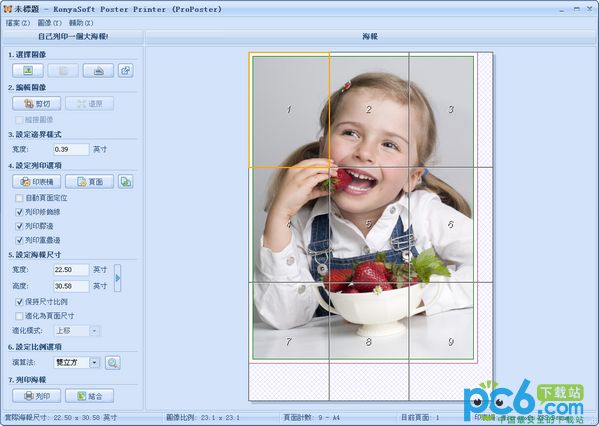 ͺӡ(RonyaSoft Poster Printer)
