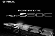 PSR-S500˵
